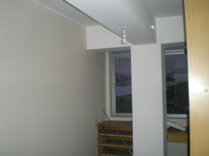 DSCN5413
